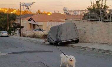 Durante quarentena homem usa drone para passear com cachorro
