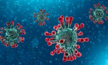 Governo enviará resultados de exames de coronavírus via app