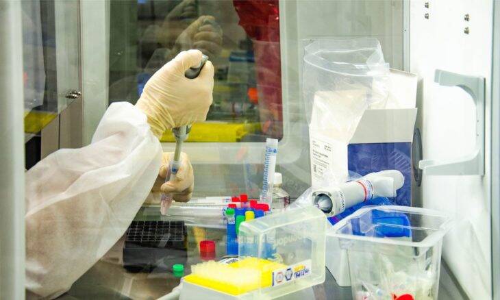 Fiocruz inicia testes com vacina BCG para combate ao coronavírus