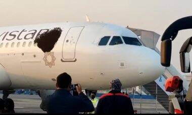 Airbus A320 sofre ataque de abelhas em aeroporto da Índia