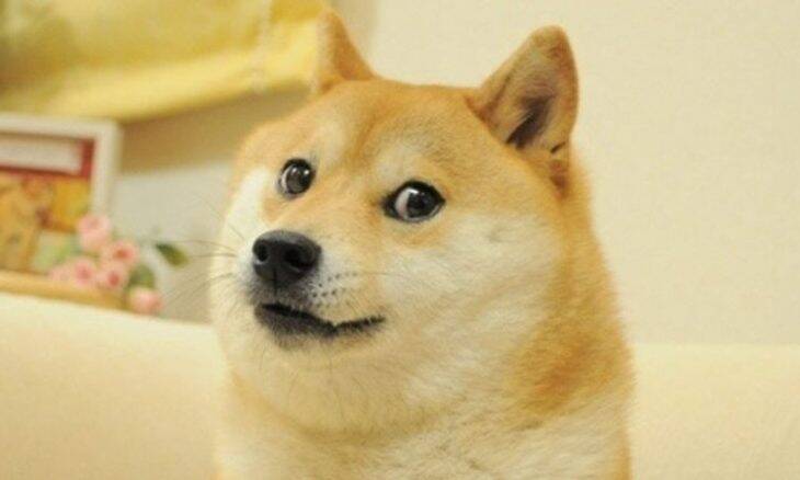 Meme Doge é vendido por R$ 20 milhões e vira o mais caro da história