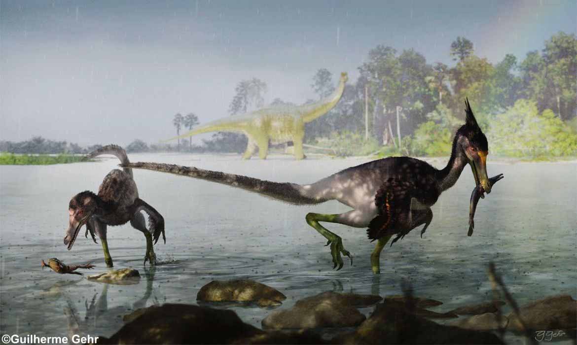  Estudo brasileiro descreve dinossauro que viveu no período Cretáceo. Foto: Divulgação / Museu Nacional