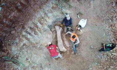 Pedaço de osso de dinossauro encontrado em Davinópolis, no Maranhão — Foto: Divulgação/Brado