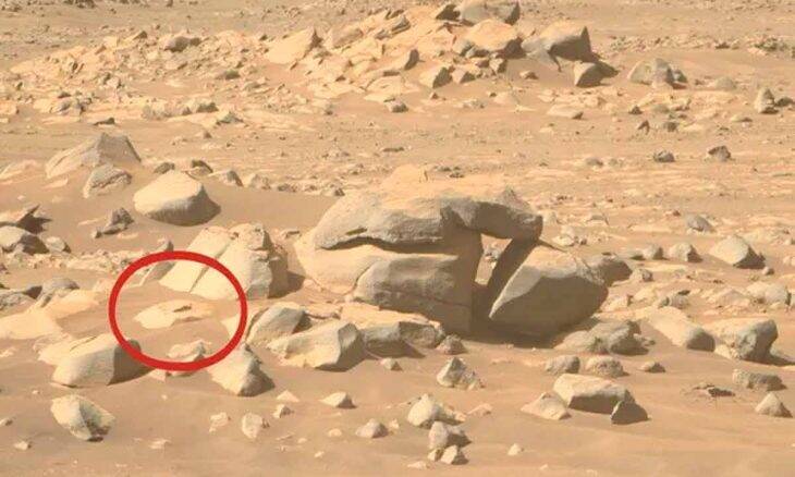 Por que as pessoas estão dizendo que esse pedaço de rocha é a prova de vida em Marte. Foto: Nasa