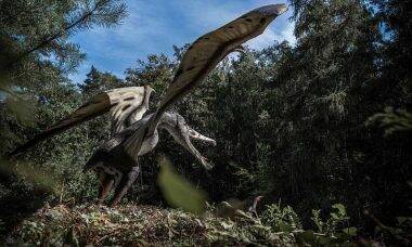 Museu de Ciências da Terra apresenta fóssil de pterossauro repatriado. Foto: pixabay