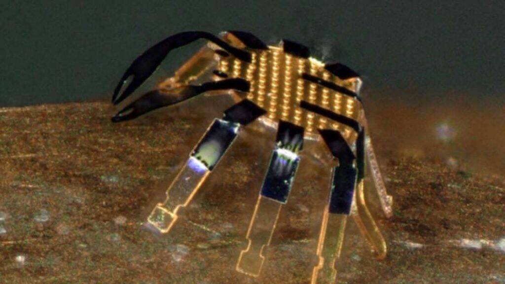 Cientistas criam caranguejo robótico com tamanho milimétrico