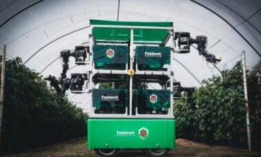 Empresa britânica cria robô coletor de frutas delicadas